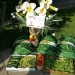 Distribution de légumes du 14 août à Victoriaville.